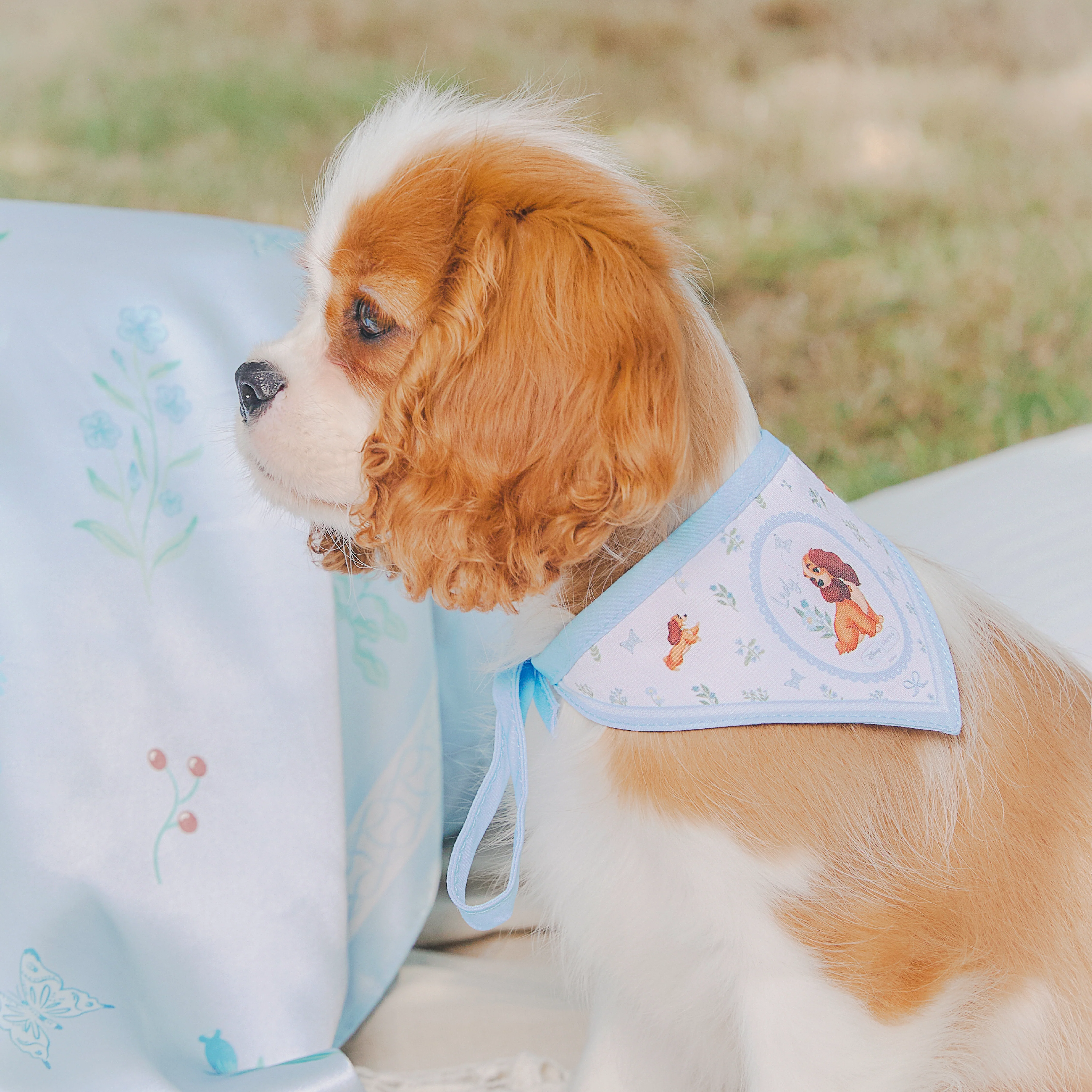Lady Bandana - Image 3