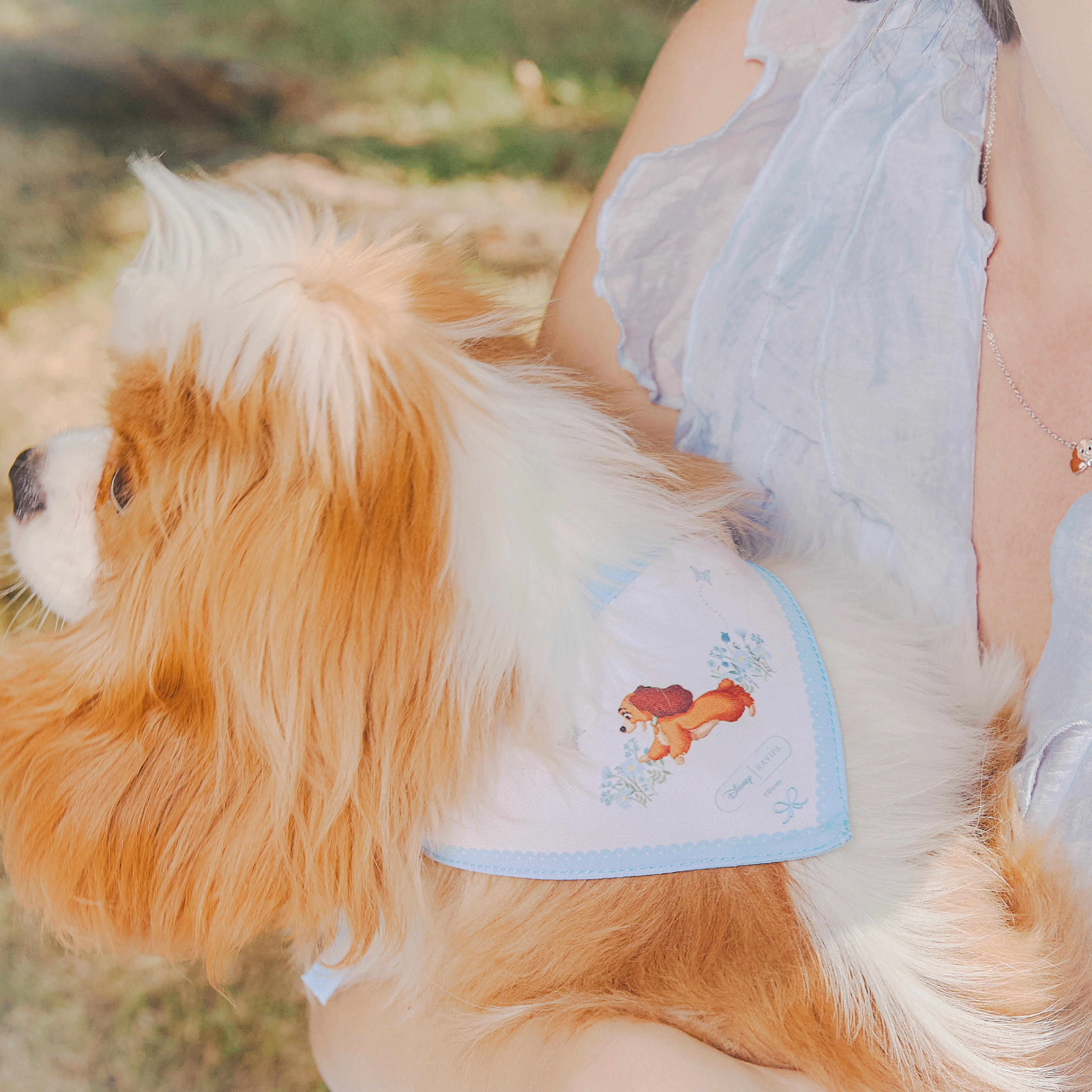 Lady Bandana - Image 4