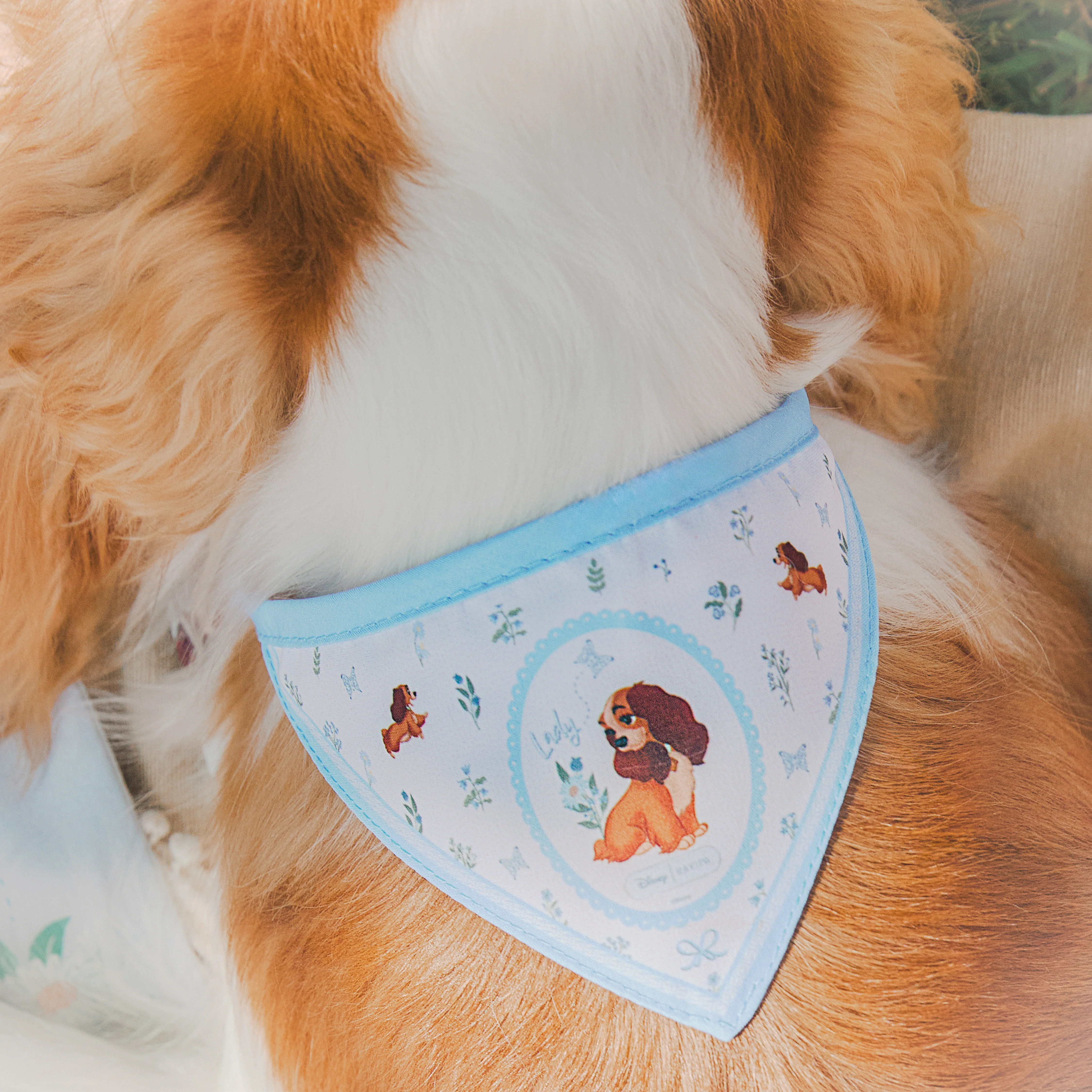 Lady Bandana - Image 5